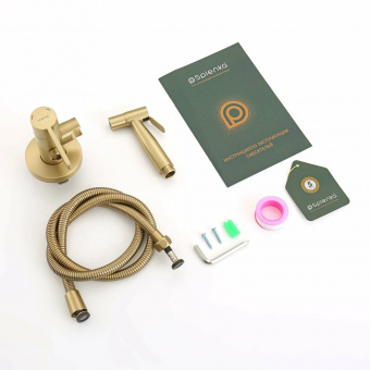 Смеситель с гигиенич.душем S221.52.03 встраиваемый сатин зол.