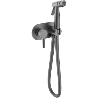 Смеситель с гигиенич.душем R20.52.09 встраив.графит