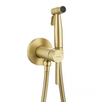 Смеситель с гигиенич.душем S221.52.03 встраиваемый сатин зол.