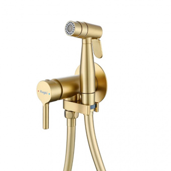 Cмеситель с гигиенич.душем встраив. R20.54.03 сатин золот.